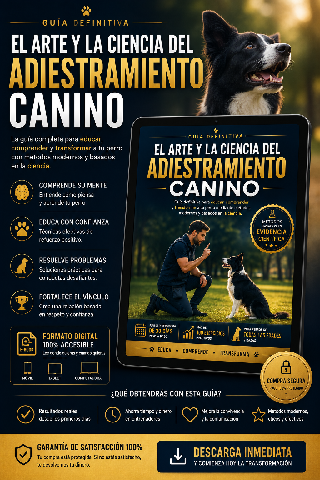 De Caos a Compañero